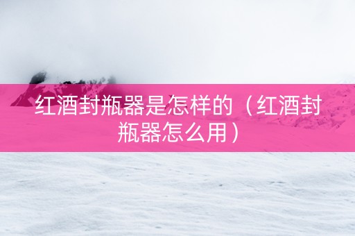 红酒封瓶器是怎样的(红酒封瓶器怎么用) 红酒封瓶器是怎样的(红酒封瓶器怎么用)