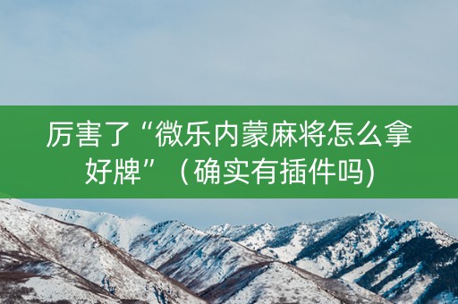 厉害了“微乐内蒙麻将怎么拿好牌”（确实有插件吗)