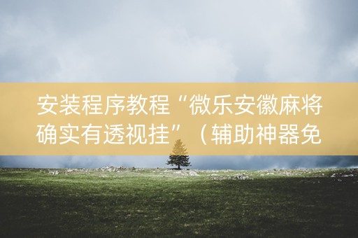 安装程序教程“微乐安徽麻将确实有透视挂”（辅助神器免费)