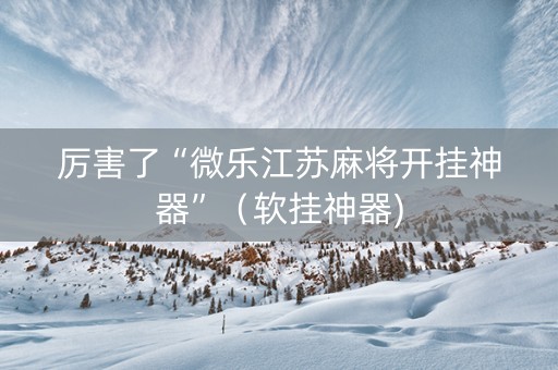 厉害了“微乐江苏麻将开挂神器”（软挂神器)