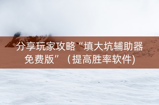 分享玩家攻略“填大坑辅助器免费版”（提高胜率软件)