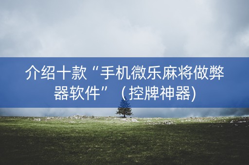 介绍十款“手机微乐麻将做弊器软件”（控牌神器)