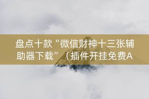 盘点十款“微信财神十三张辅助器下载”（插件开挂免费AI)