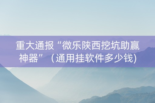 重大通报“微乐陕西挖坑助赢神器”（通用挂软件多少钱)