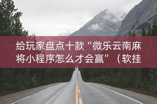 给玩家盘点十款“微乐云南麻将小程序怎么才会赢”（软挂神器)