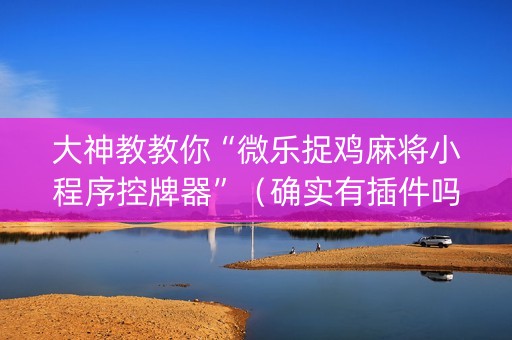 大神教教你“微乐捉鸡麻将小程序控牌器”（确实有插件吗)