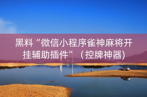 黑料“微信小程序雀神麻将开挂辅助插件”（控牌神器)