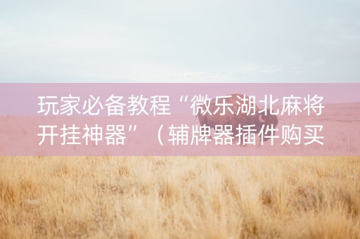 玩家必备教程“微乐湖北麻将开挂神器”（辅牌器插件购买)