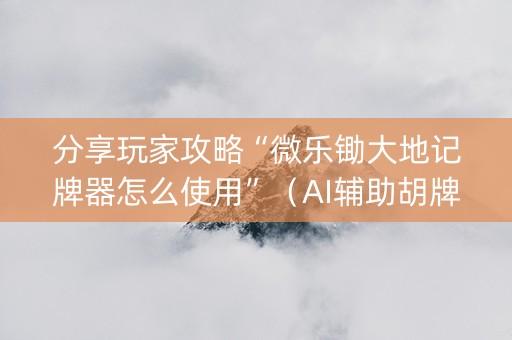 分享玩家攻略“微乐锄大地记牌器怎么使用”（AI辅助胡牌规则)