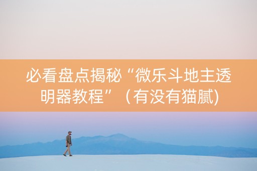 必看盘点揭秘“微乐斗地主透明器教程”（有没有猫腻)