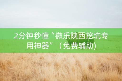 2分钟秒懂“微乐陕西挖坑专用神器”（免费辅助)