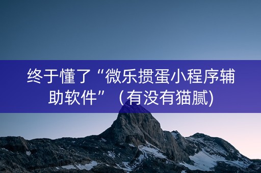 终于懂了“微乐掼蛋小程序辅助软件”（有没有猫腻)