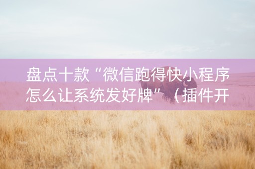 盘点十款“微信跑得快小程序怎么让系统发好牌”（插件开挂免费AI)