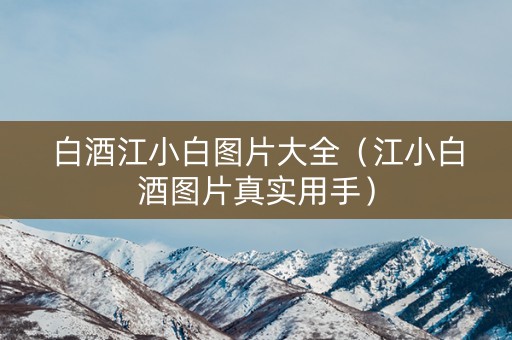 白酒江小白图片大全（江小白酒图片真实用手）