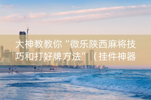 大神教教你“微乐陕西麻将技巧和打好牌方法”（挂件神器)