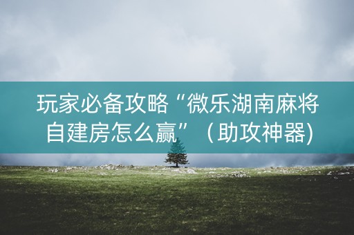 玩家必备攻略“微乐湖南麻将自建房怎么赢”（助攻神器)