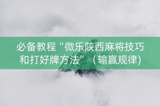 必备教程“微乐陕西麻将技巧和打好牌方法”（输赢规律)