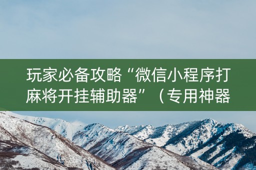 玩家必备攻略“微信小程序打麻将开挂辅助器”（专用神器下载)