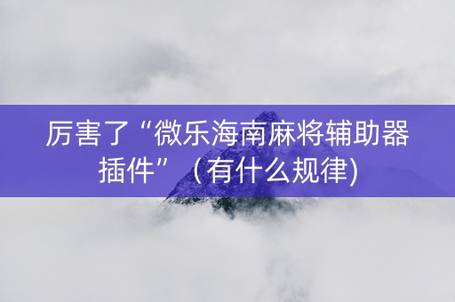 厉害了“微乐海南麻将辅助器插件”（有什么规律)