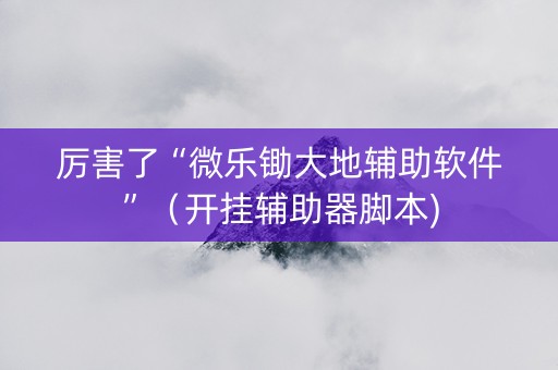 厉害了“微乐锄大地辅助软件”（开挂辅助器脚本)