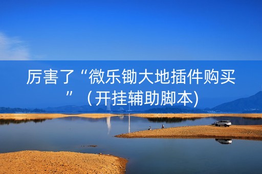 厉害了“微乐锄大地插件购买”（开挂辅助脚本)