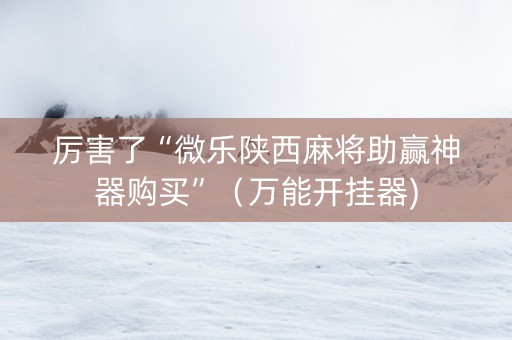 厉害了“微乐陕西麻将助赢神器购买”（万能开挂器)