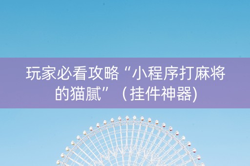 玩家必看攻略“小程序打麻将的猫腻”（挂件神器)