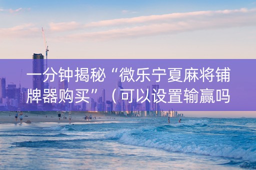 一分钟揭秘“微乐宁夏麻将铺牌器购买”（可以设置输赢吗)