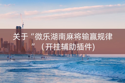 关于“微乐湖南麻将输赢规律”（开挂辅助插件)
