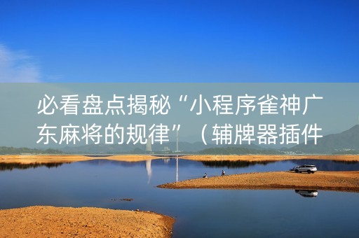 必看盘点揭秘“小程序雀神广东麻将的规律”（辅牌器插件购买)