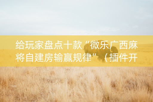 给玩家盘点十款“微乐广西麻将自建房输赢规律”（插件开挂免费AI)