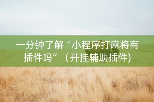 一分钟了解“小程序打麻将有插件吗”（开挂辅助插件)