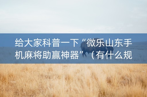 给大家科普一下“微乐山东手机麻将助赢神器”（有什么规律)