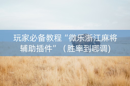 玩家必备教程“微乐浙江麻将辅助插件”（胜率到哪调)