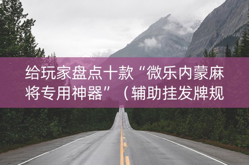 给玩家盘点十款“微乐内蒙麻将专用神器”（辅助挂发牌规律)