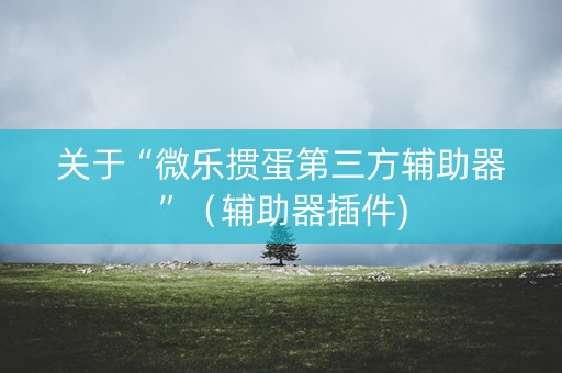 关于“微乐掼蛋第三方辅助器”（辅助器插件)