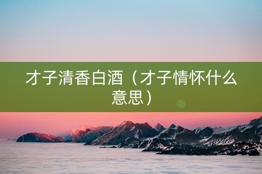 才子清香白酒（才子情怀什么意思）