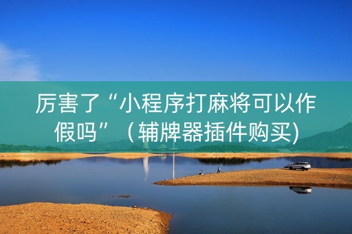 厉害了“小程序打麻将可以作假吗”（辅牌器插件购买)