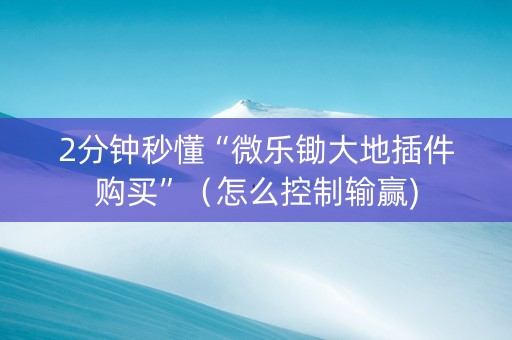2分钟秒懂“微乐锄大地插件购买”（怎么控制输赢)