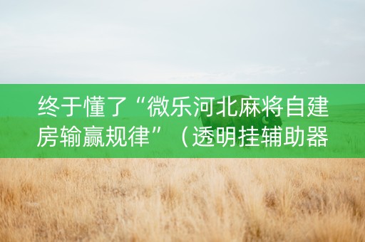 终于懂了“微乐河北麻将自建房输赢规律”（透明挂辅助器)