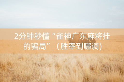 2分钟秒懂“雀神广东麻将挂的骗局”（胜率到哪调)