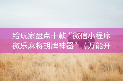 给玩家盘点十款“微信小程序微乐麻将胡牌神器”（万能开挂器)
