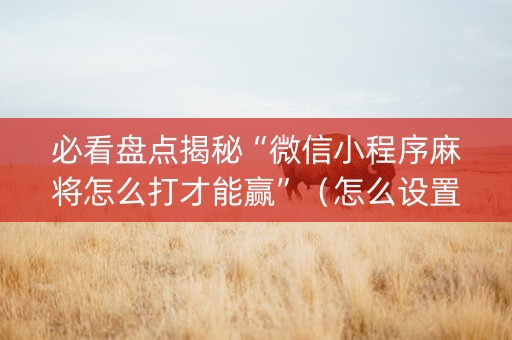 必看盘点揭秘“微信小程序麻将怎么打才能赢”（怎么设置能有好牌)