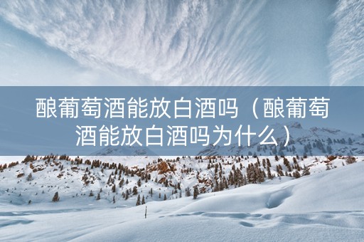 酿葡萄酒能放白酒吗（酿葡萄酒能放白酒吗为什么）