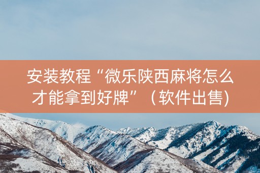 安装教程“微乐陕西麻将怎么才能拿到好牌”（软件出售)