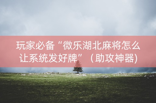玩家必备“微乐湖北麻将怎么让系统发好牌”（助攻神器)