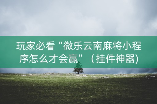 玩家必看“微乐云南麻将小程序怎么才会赢”（挂件神器)