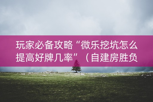 玩家必备攻略“微乐挖坑怎么提高好牌几率”（自建房胜负规律)