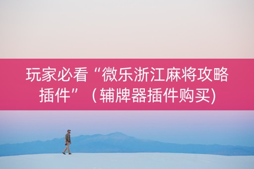 玩家必看“微乐浙江麻将攻略插件”（辅牌器插件购买)