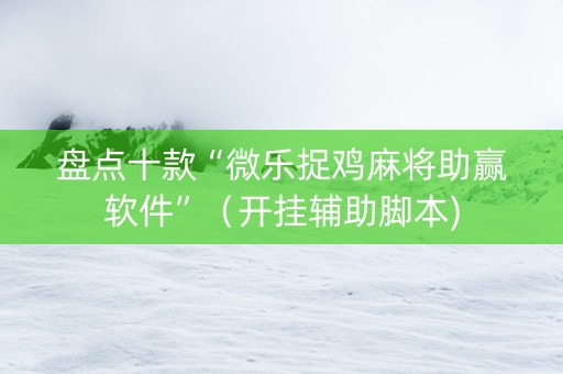 盘点十款“微乐捉鸡麻将助赢软件”（开挂辅助脚本)